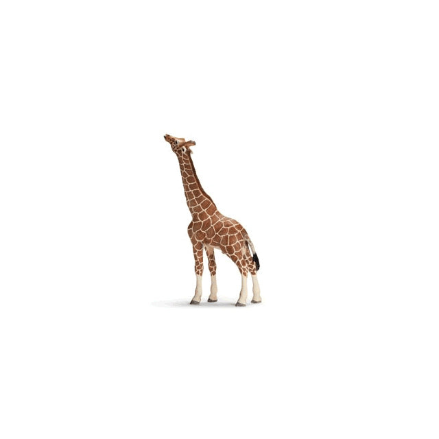 Images test